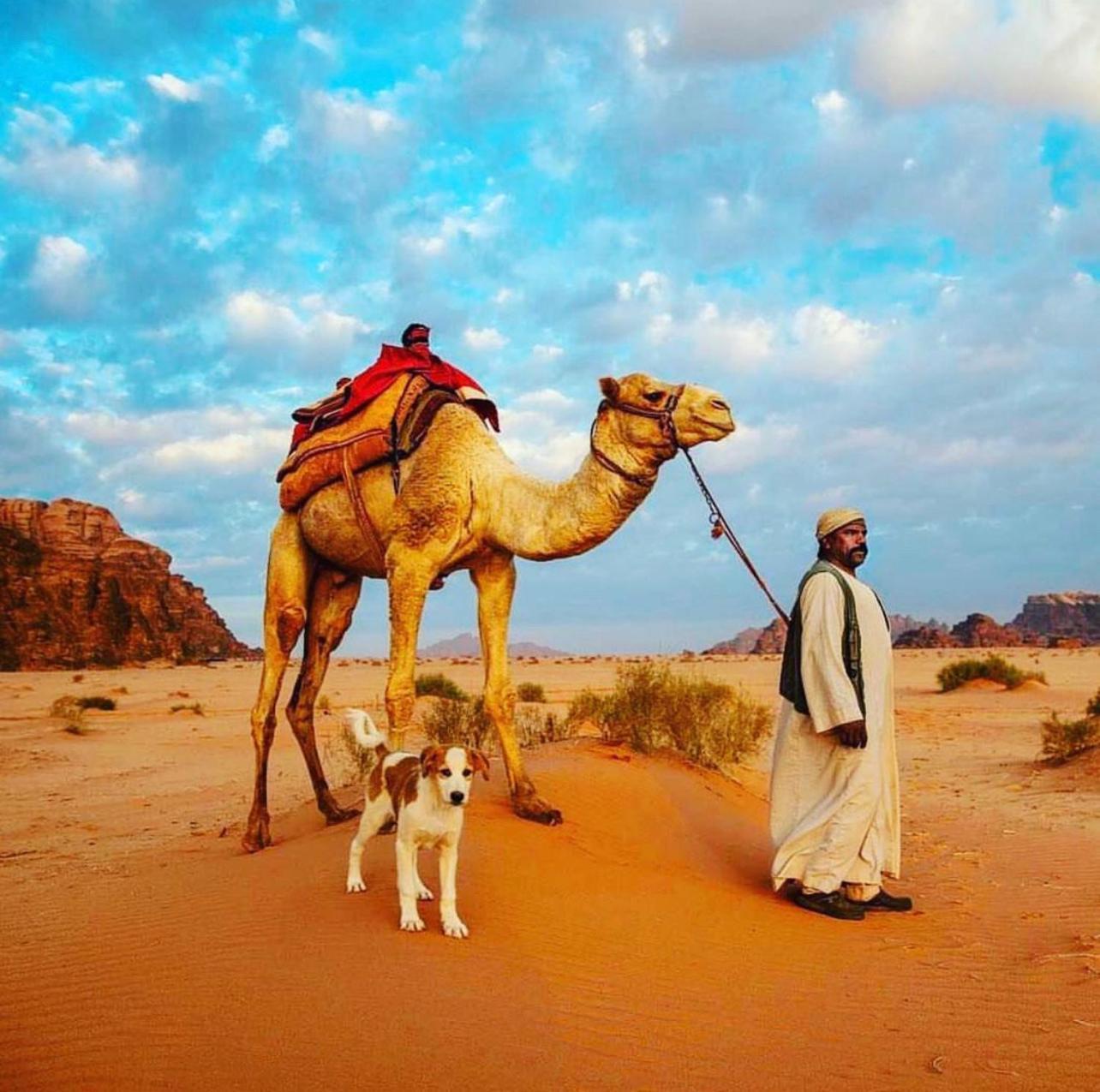 Desert Bedouin Adventure وادي رم المظهر الخارجي الصورة