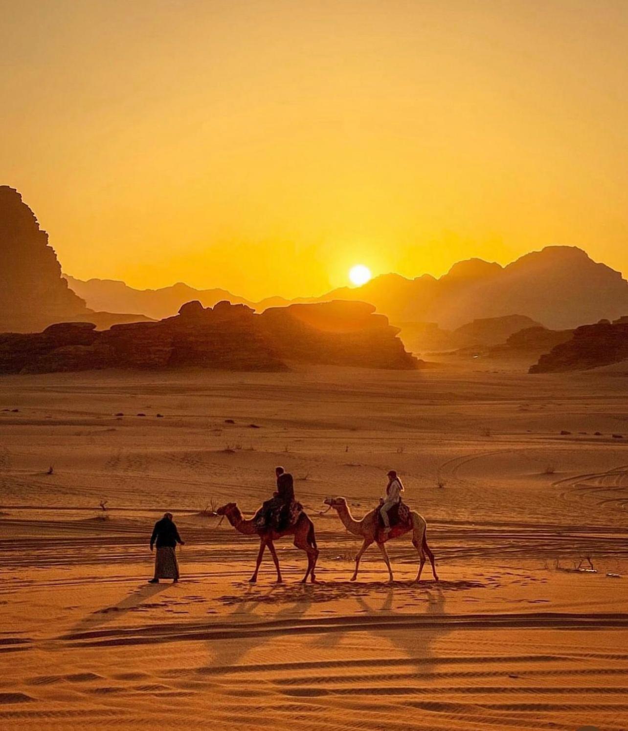 Desert Bedouin Adventure وادي رم المظهر الخارجي الصورة